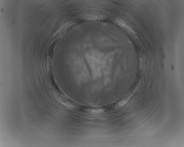 X0000077290165200611101352