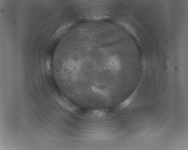 X0000077290166200611101352