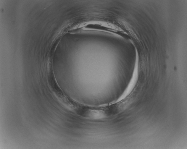 X0000077290167200611101352