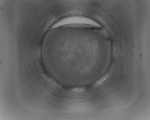 X0000077290168200611101352