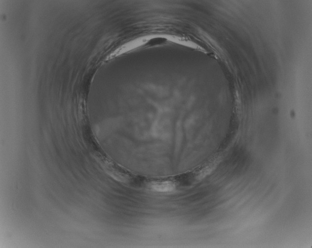 X0000077290169200611101352