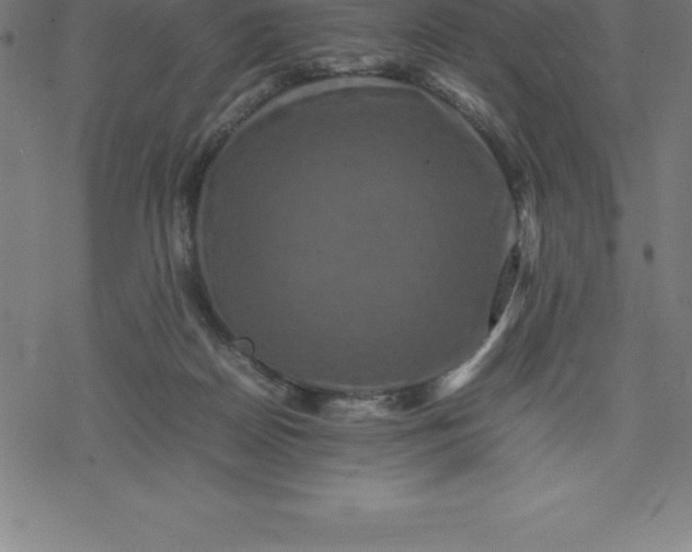 X0000077290170200611101352