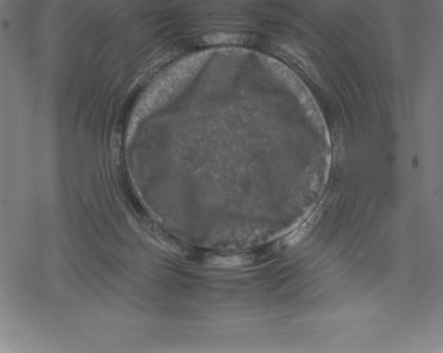 X0000077290171200611101352