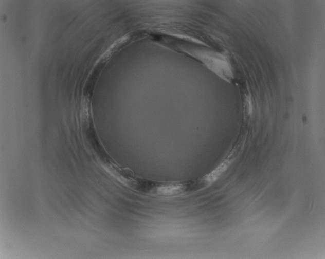 X0000077290172200611101352