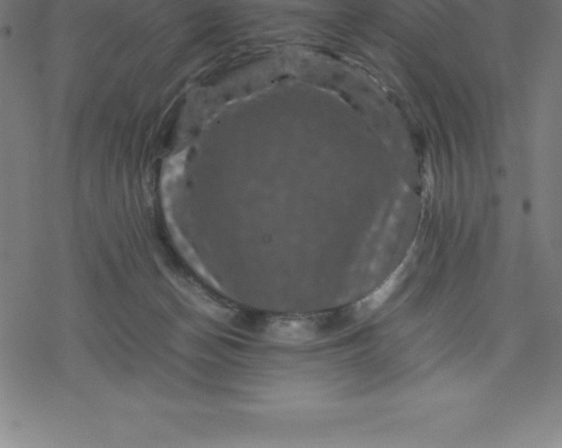 X0000077290174200611101352