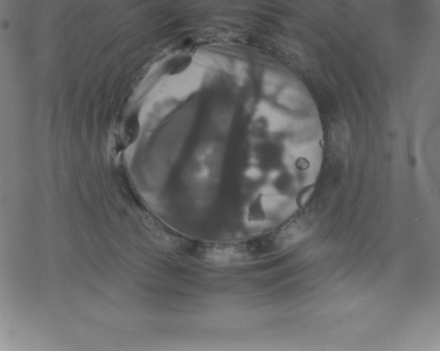 X0000077290177200611101352