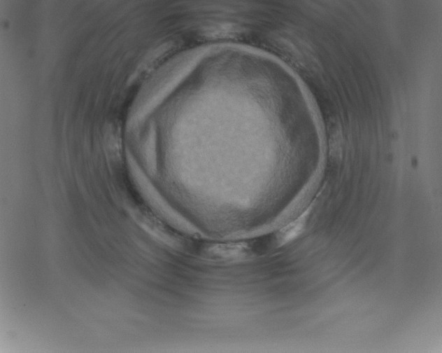 X0000077290179200611101352