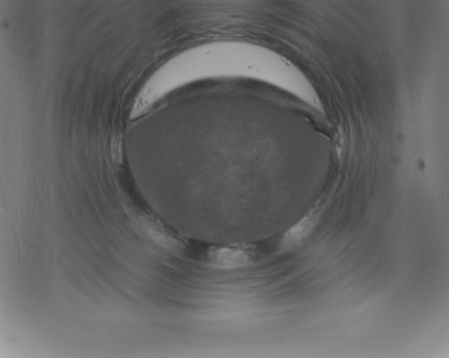 X0000077290180200611101352