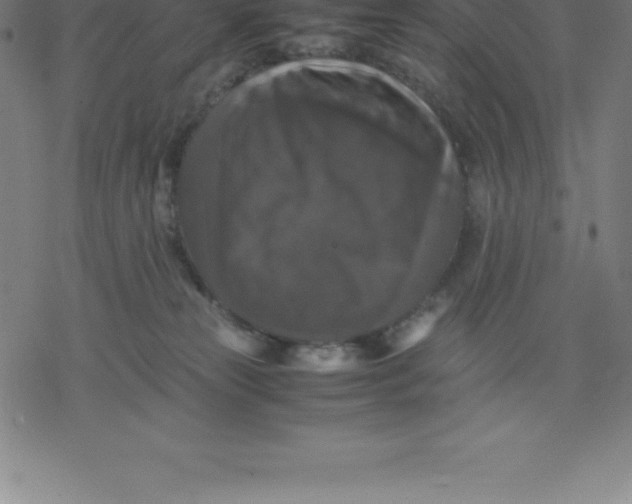 X0000077290181200611101352