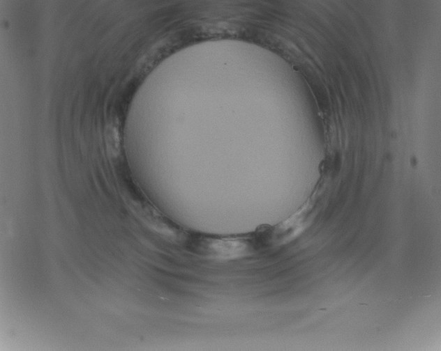 X0000077290183200611101352