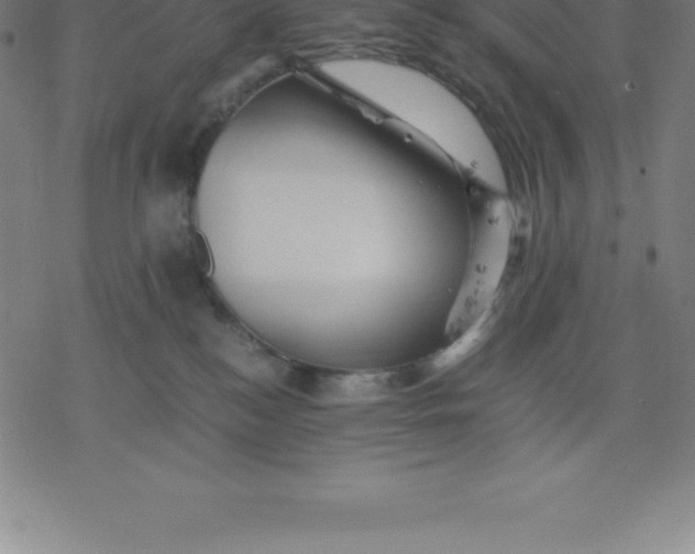 X0000077290184200611101352