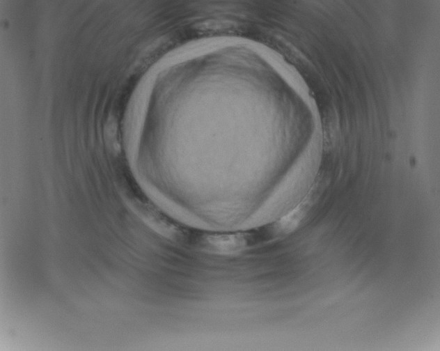 X0000077290187200611101352