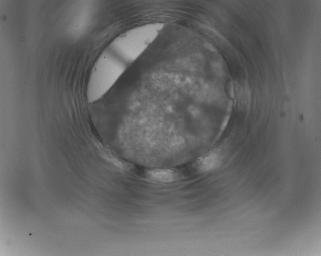 X0000077290189200611101352