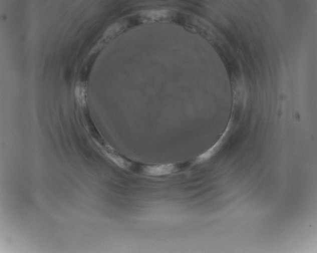 X0000077290191200611101352