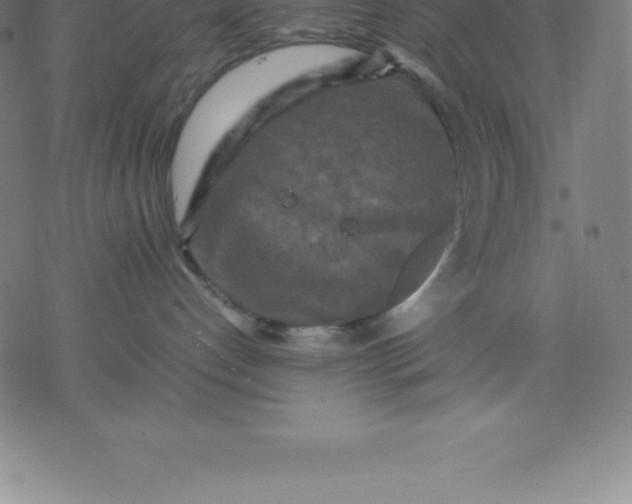 X0000077290192200611101352