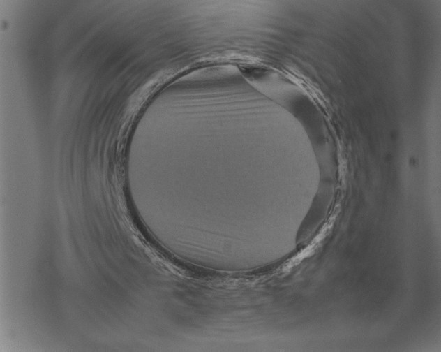 X0000077290193200611101351