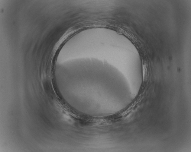 X0000077290195200611101351