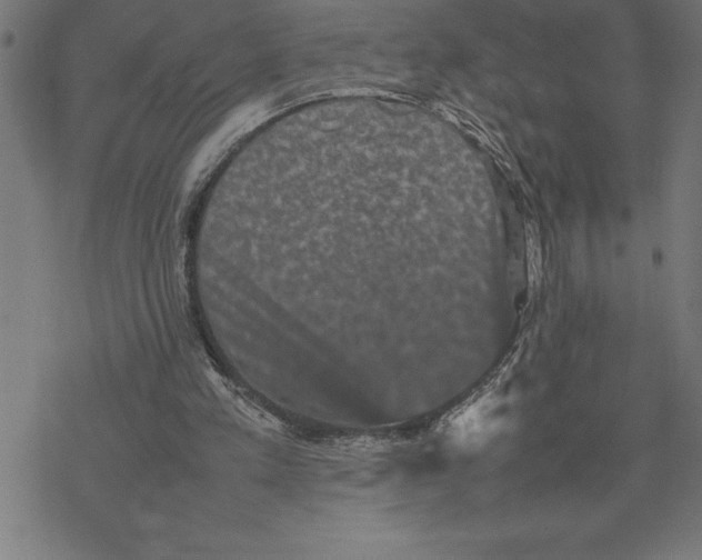 X0000077290197200611101351