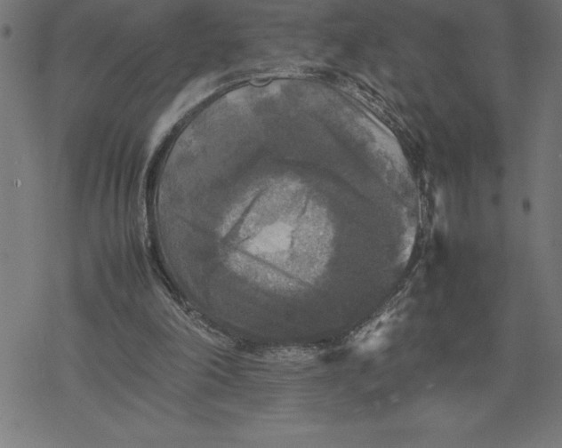 X0000077290198200611101351