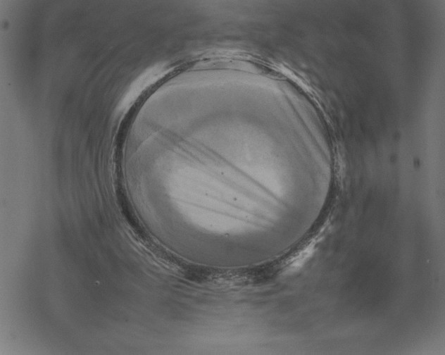 X0000077290199200611101351