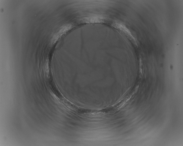 X0000077290202200611101351