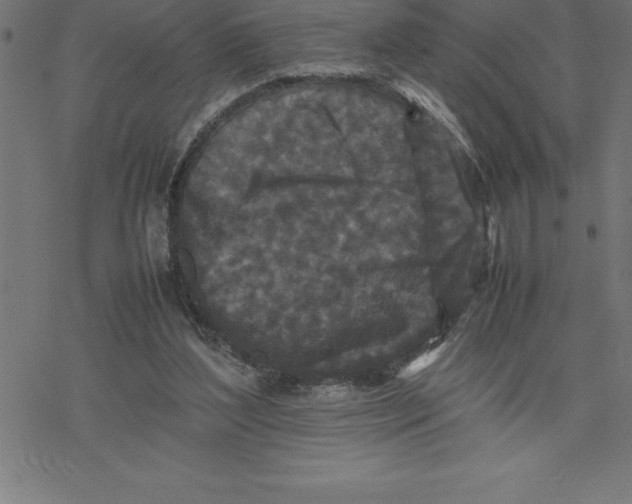 X0000077290204200611101351