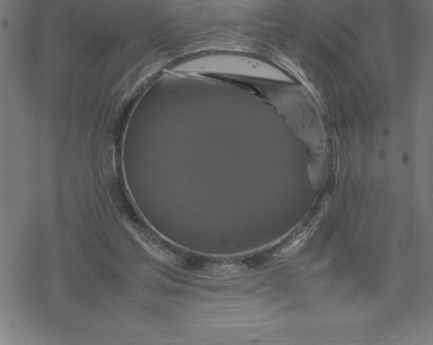 X0000077290205200611101351