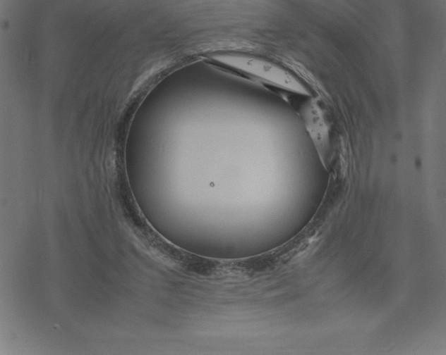 X0000077290207200611101351