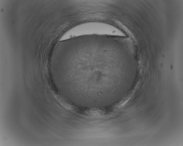 X0000077290209200611101351