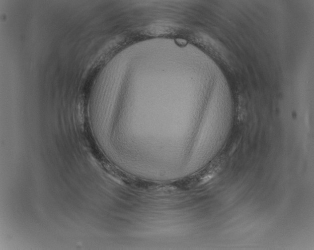 X0000077290210200611101351