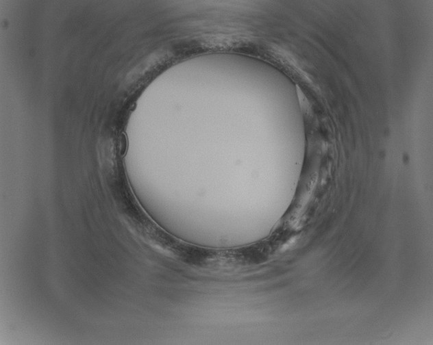 X0000077290211200611101351