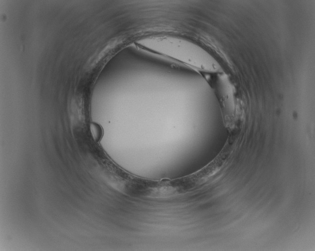 X0000077290212200611101351