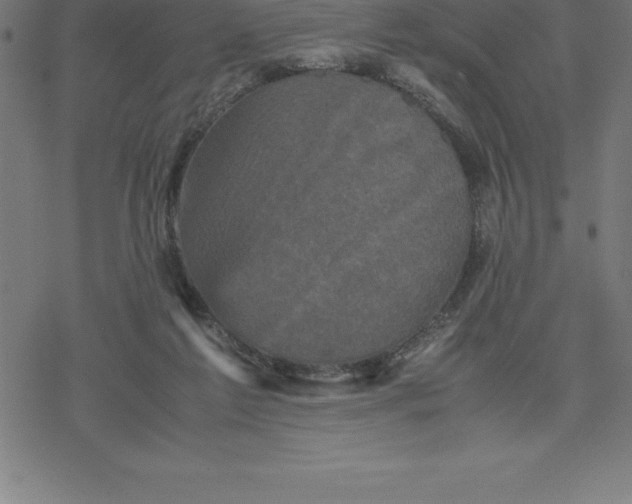 X0000077290213200611101351