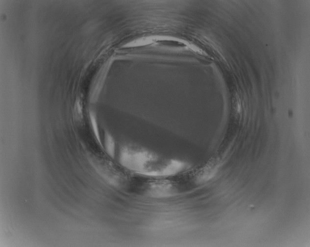 X0000077290214200611101351