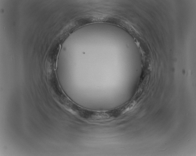 X0000077290215200611101351