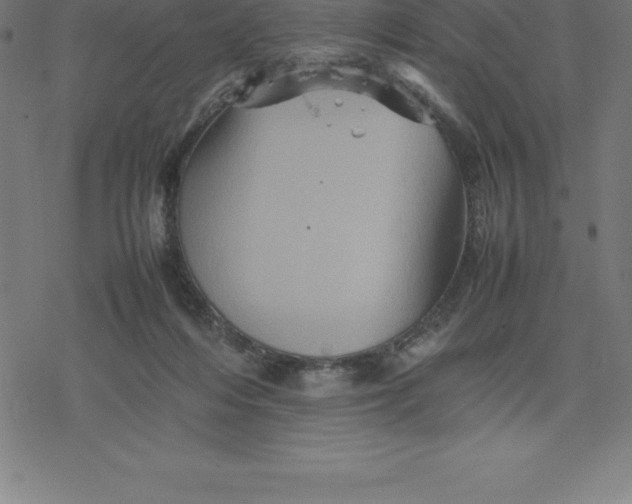 X0000077290216200611101351