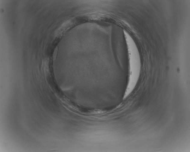 X0000077290217200611101351