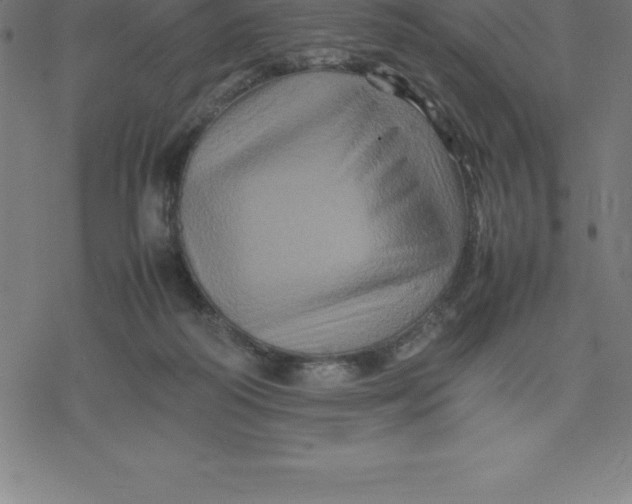 X0000077290218200611101351