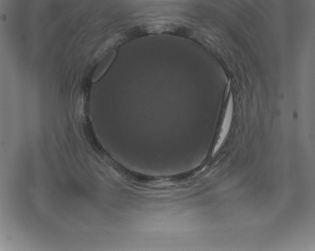 X0000077290219200611101351