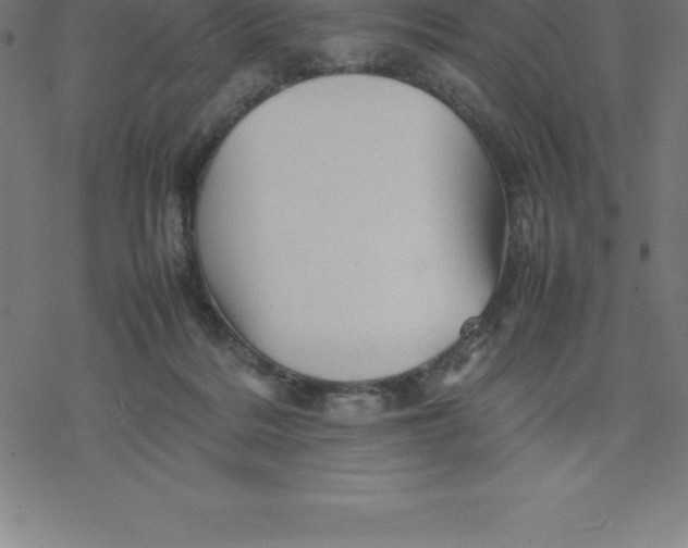 X0000077290220200611101351