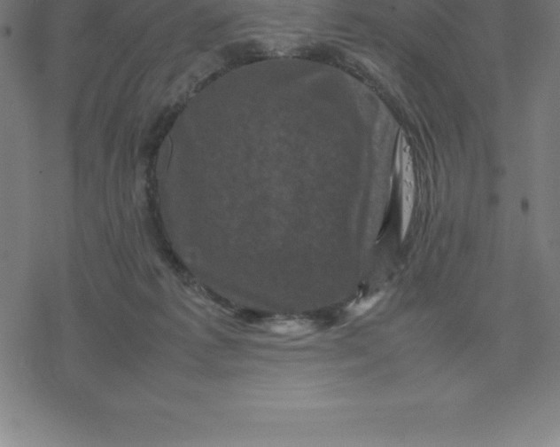 X0000077290221200611101351