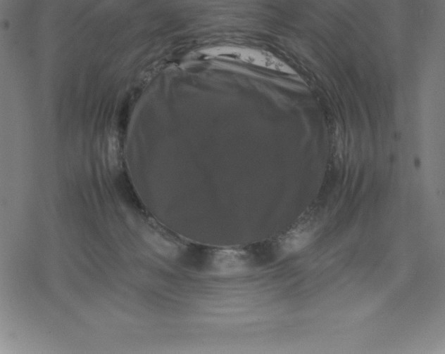 X0000077290222200611101351