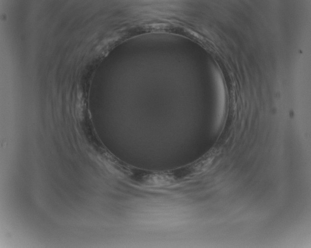 X0000077290223200611101351