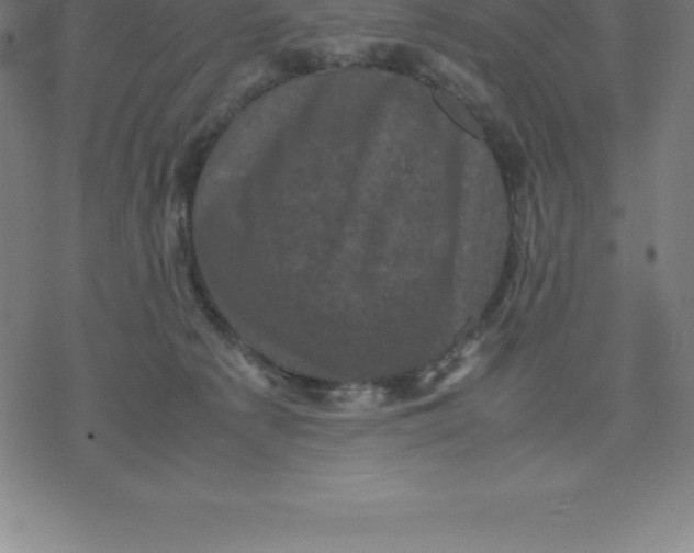 X0000077290225200611101351