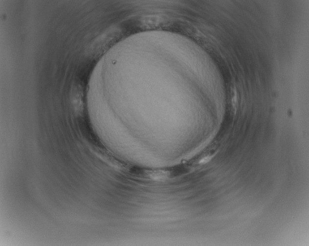 X0000077290226200611101351