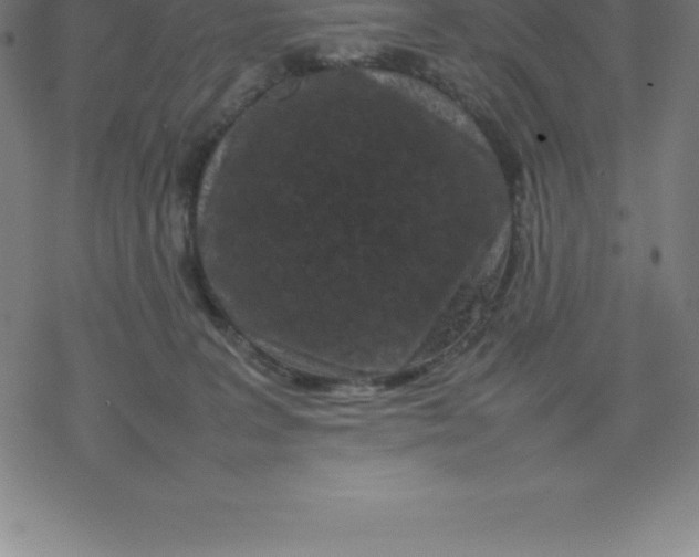 X0000077290227200611101351