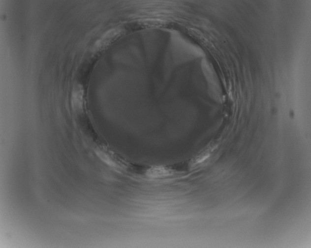 X0000077290231200611101351