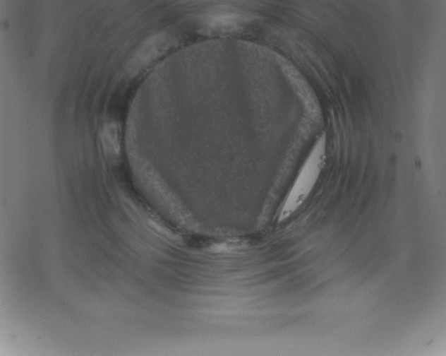 X0000077290232200611101351