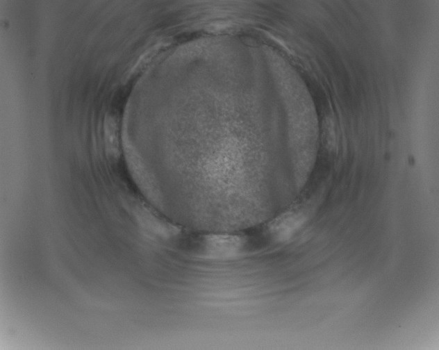 X0000077290234200611101351