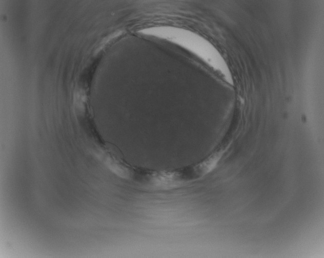 X0000077290235200611101351